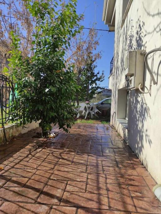 Trikala Home Exteriör bild